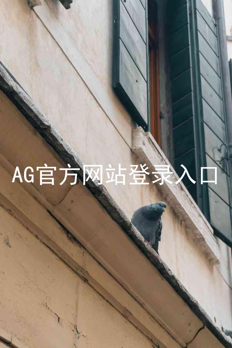 AG官方网站登录入口